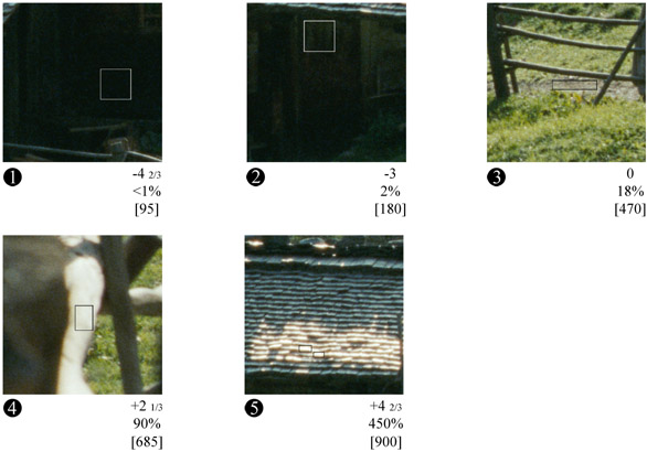Specific tonal values in the sample image.