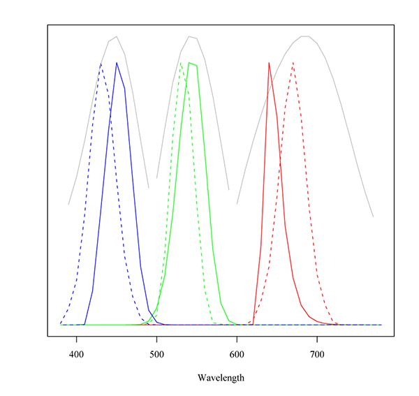 Status M and Printing Density.