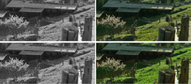 Click to see enlarged figure